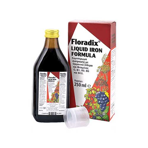 Power Health Floradix 250ml