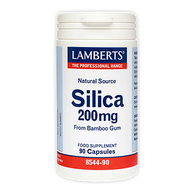 Lamberts Silica 90 caps