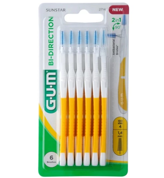 Gum Bi - Direction 1.4 6 Brushes